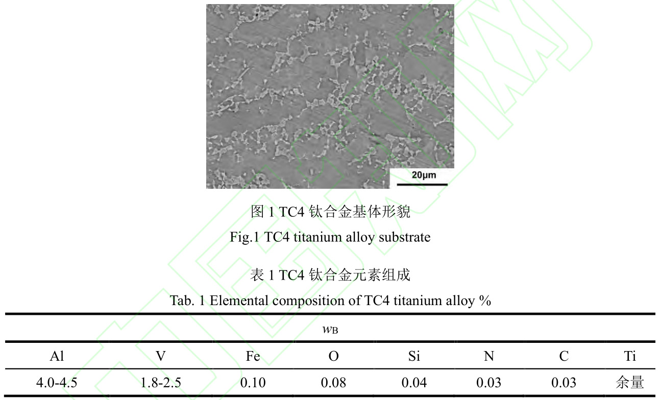 t1-b1.jpg